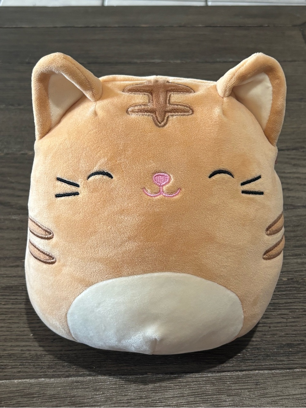 Squishmallows Nathan the Orange Tabby Cat Plush 8 Inch New Without Tags